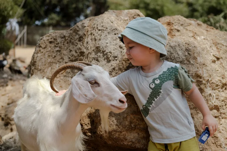 Où voir des animaux avec les enfants autour de Rennes ?