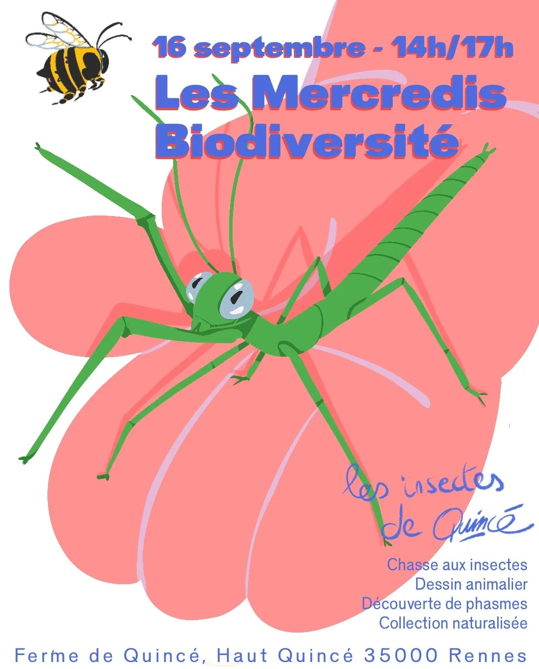 Mercredi Biodiversité – Les insectes de Quincé