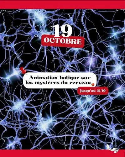 Les mystères du cerveau à Grand Quartier