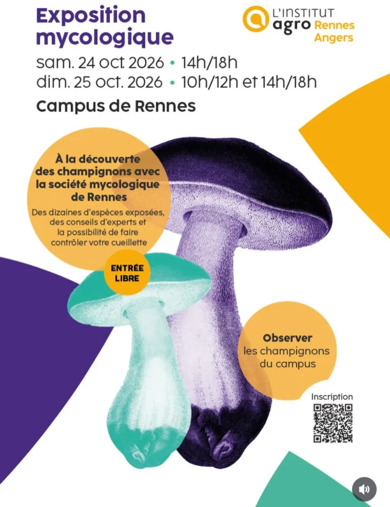 Exposition mycologique / ANNULÉ