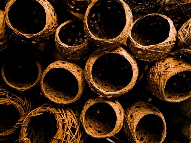 Vannerie : fabrique une mangeoire à oiseaux à Monteneuf