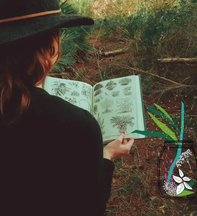 Balade botanique sur les plantes de sorcière : une sortie nature pour Halloween à Rennes
