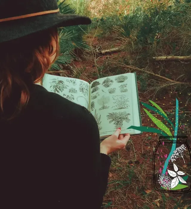 Balade botanique sur les plantes de sorcière : une sortie nature pour Halloween à Rennes