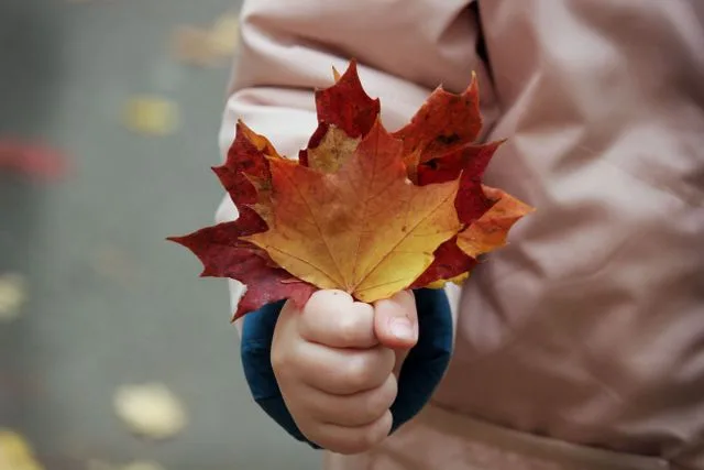Que faire à Rennes pendant les vacances de la Toussaint 2026 avec les enfants ?