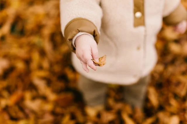Que faire en octobre 2026 à Rennes avec les enfants ?