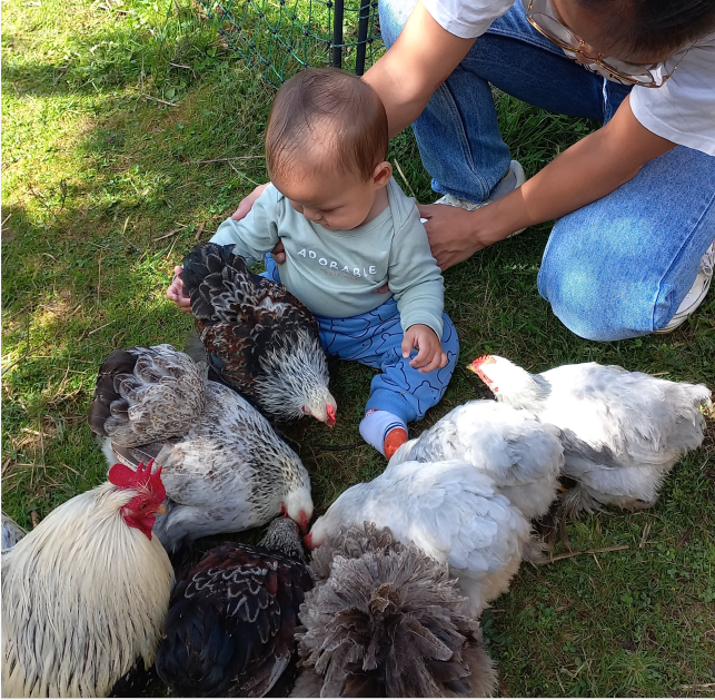 La Roulotte des Animaux : des ateliers à la ferme avec les enfants
