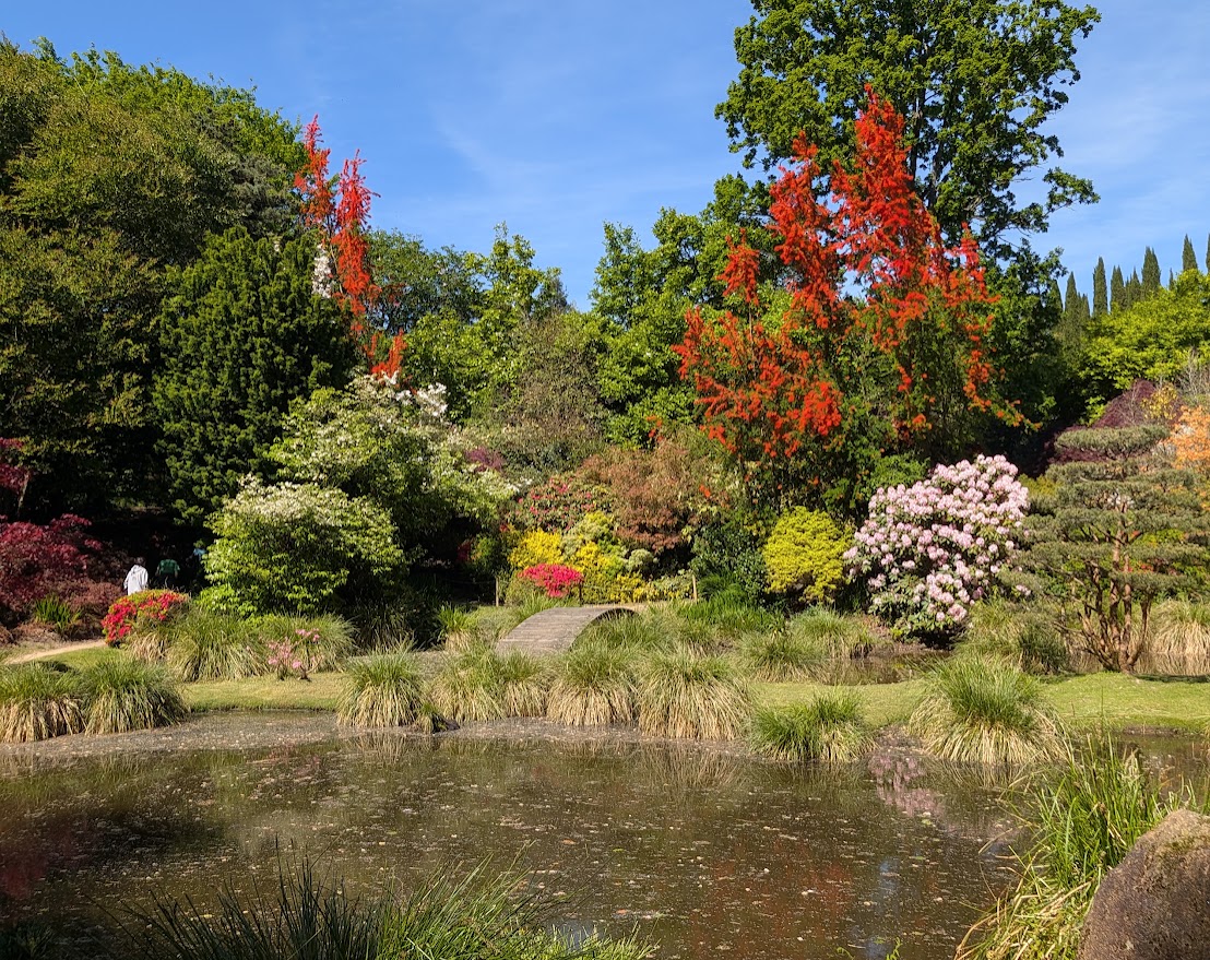 Parc botanique de Haute Bretagne : un jardin-monde à explorer en famille