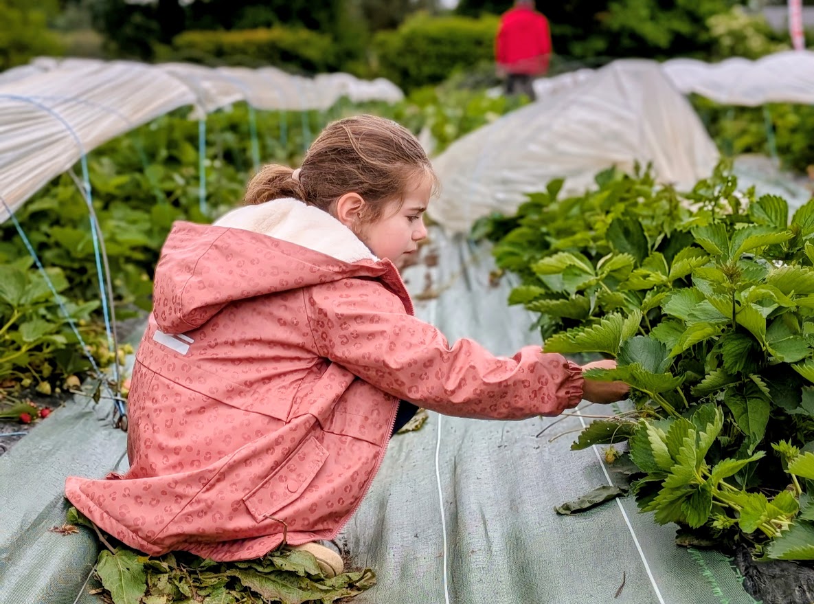 Ferme de la Réauté : cueillir ses fruits et légumes avec les enfants
