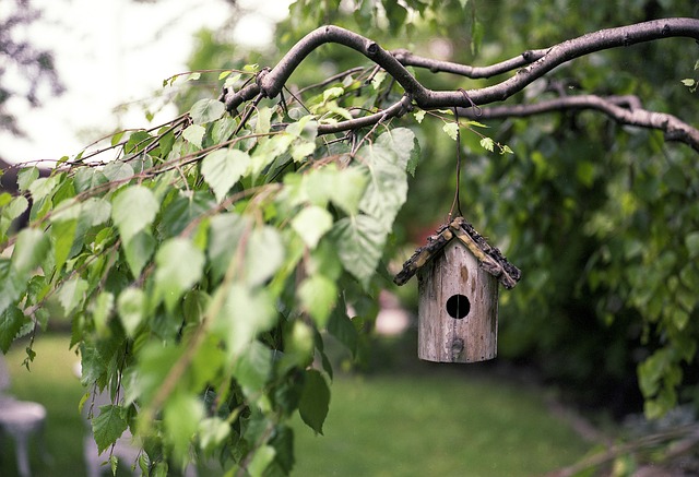 Chemin de la biodiversité : une balade ludique avec les enfants à Saint-Pern