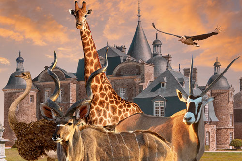 La Bourbansais : un zoo et un château à découvrir en famille