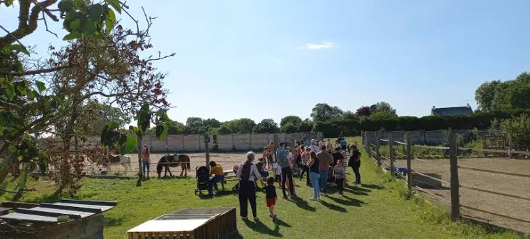 Ferme de Solidor : prendre soin des animaux dans une ferme-refuge à Saint-Malo